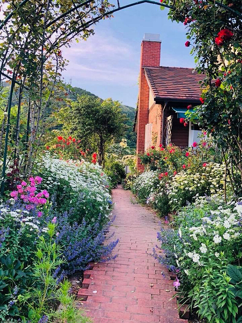 とさのさと巡り｜とさのさと【公式】